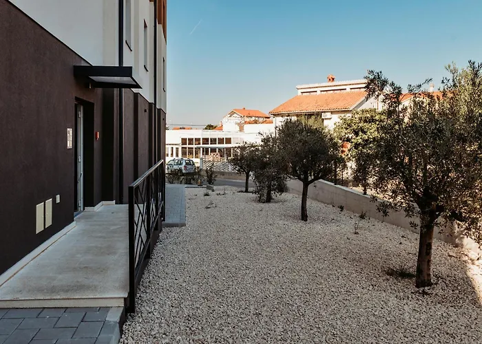 Pine Hills 扎达尔